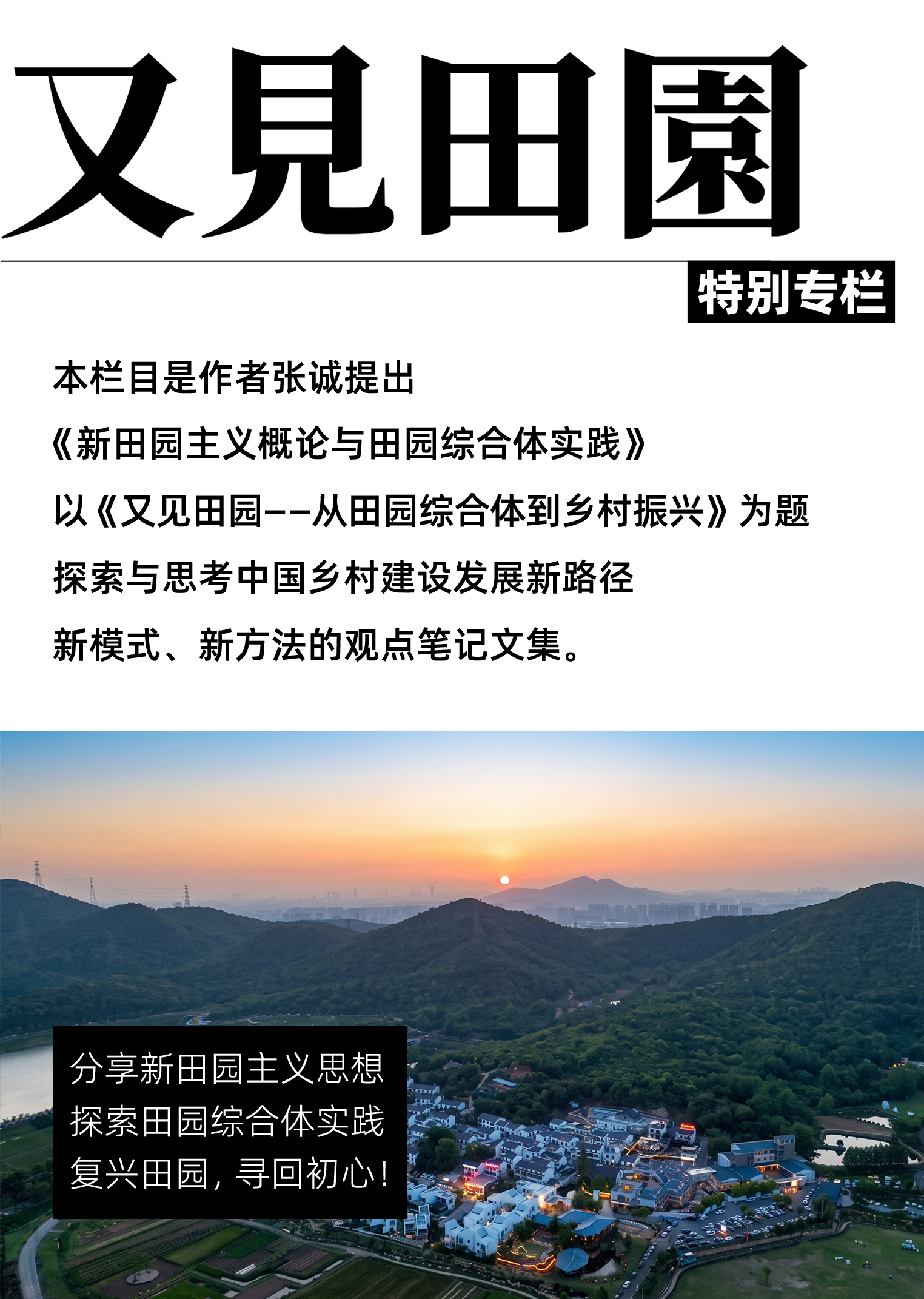 又见田园 头图.jpg